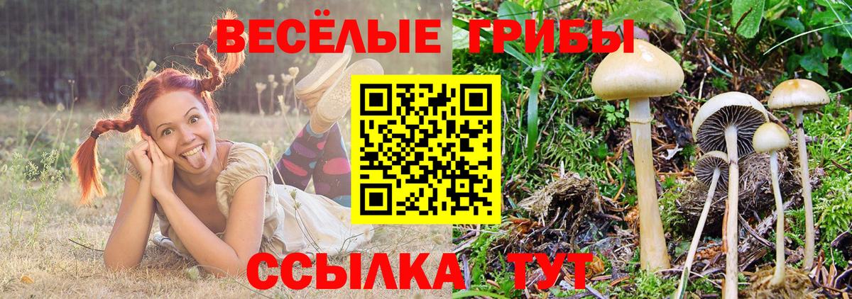 Галлюциногенные грибы Magic Shrooms Череповец